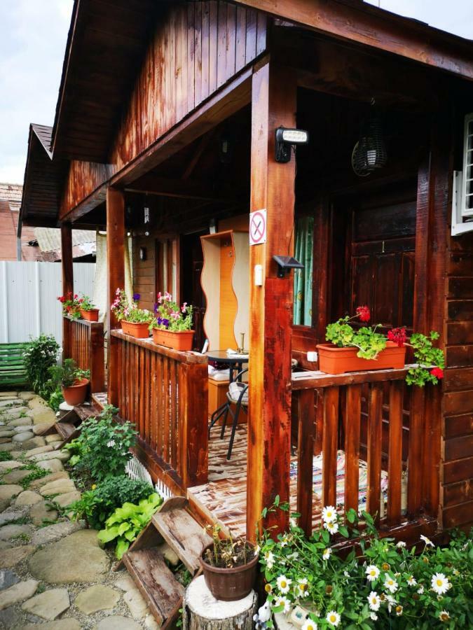 Hotel Casa Bunicilor Călimăneşti Exterior foto